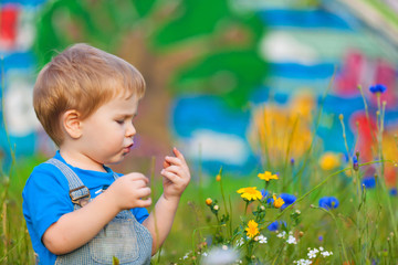 Cute small boy at the field of flowers having good time
