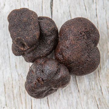 Black truffle mushroom over wooden background
