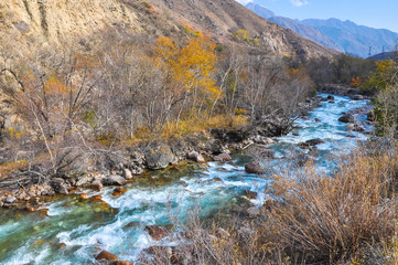 Picturesque and fast mountain river in Kyrgyzstan