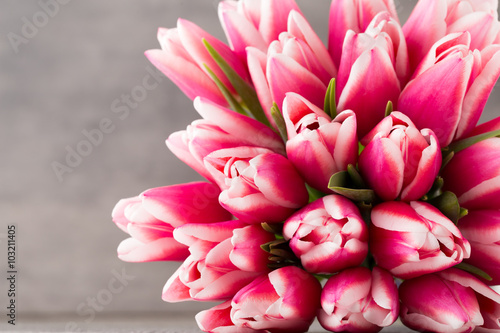 розовые тюльпаны цветы бесплатно
