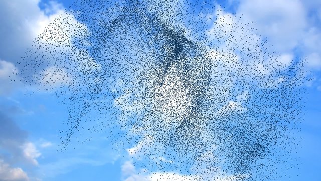 Flock of birds swarming against a blue sky with clouds