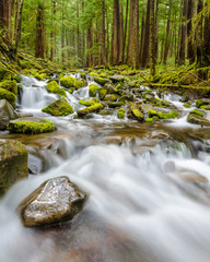 Beautiful Mountain River at the Olympics Park. WA, USA.