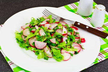 Dietary Salad from Fresh Juicy Radish, Green Onions, Lettuce