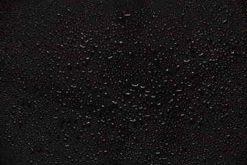 water drops on black - obrazy, fototapety, plakaty