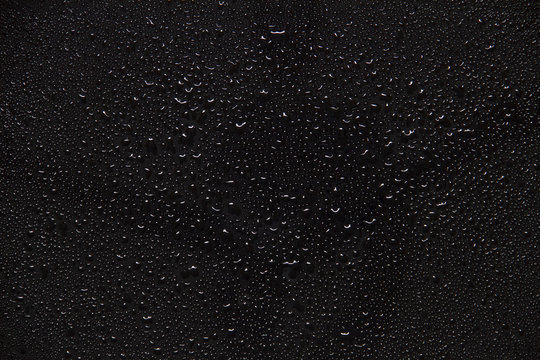 Water Drops On Black