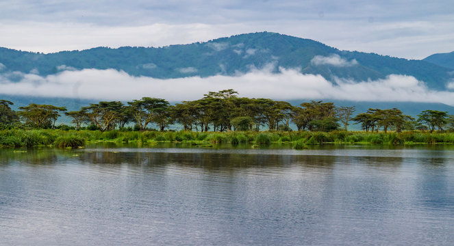 Ngorongora Crater Landscape with
view of  lake, marshy wetland,  Acacia Trees and mountains along the Crater rim