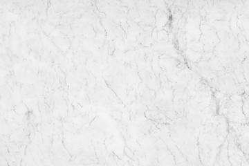 White marble background.