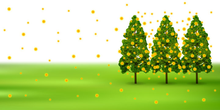 花粉　スギ　木　背景