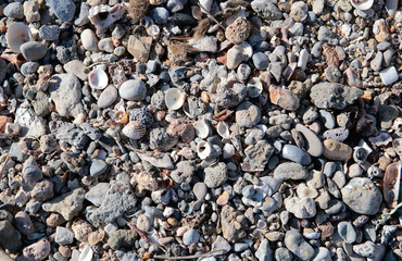 textura mineral en playa