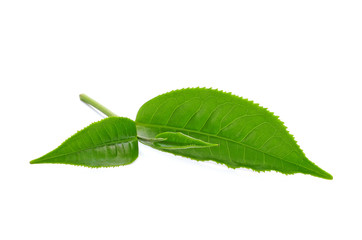 green tea leaf isolated on white background