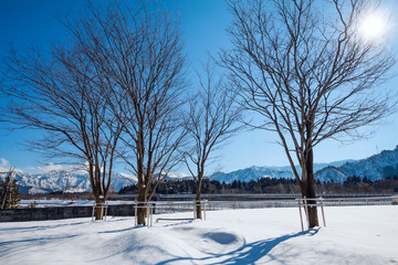 Winter season in Yuzawa, Niigata Prefecture, Japan