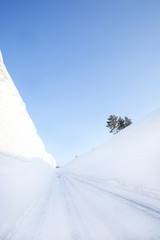 雪の回廊　青森県八甲田