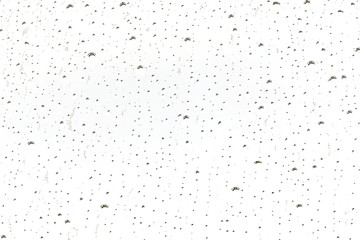 Water drops isolated on white background