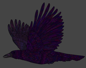 Flying raven with high details.  - 103228443