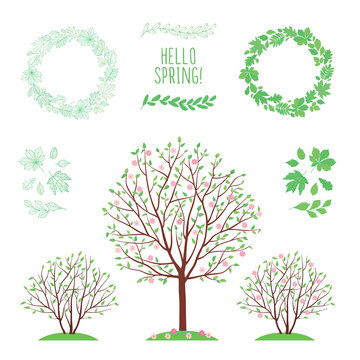 Hello spring. Spring background with trees and leaves. Set of images with leaves of different trees. Wreath of leaves. Hand drawn leaves. Sketch, design elements. Vector illustration.