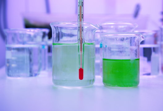 green algea in beaker at laboratory