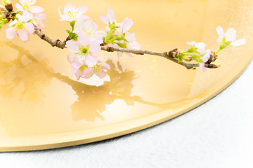 桜　小枝　背景　金色