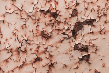 texture of grunge background iron rusty artistic wall