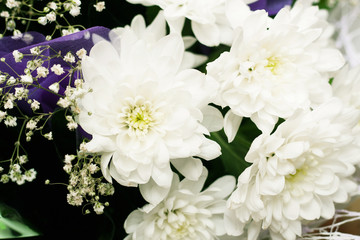 bouquet of white chrysanthemums closeup