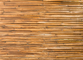 bamboo wood of fence wall background