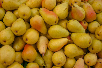 pile of ripe pears. 