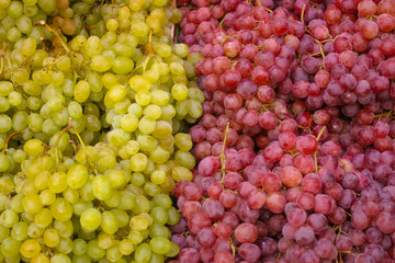 green and red grapes