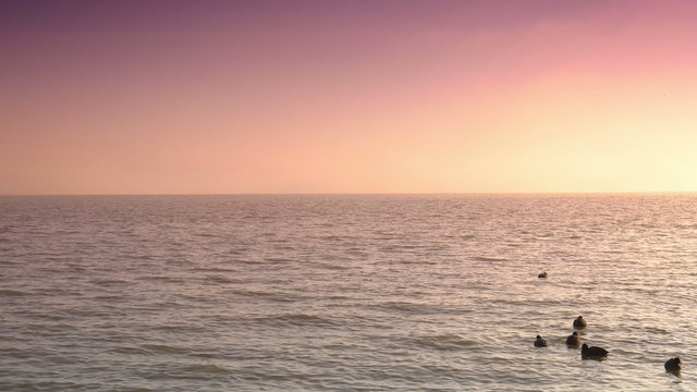 Ijsselmeer at sunset. Volendam, The Netherlands 4K