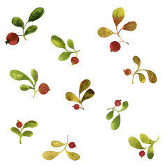 watercolor green leaves and red berries