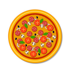 beautiful illustration pizza in vector format