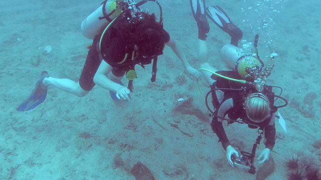Underwater photographing eels two women divers