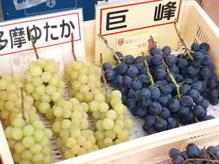 Japanese grape / Yamanashi, Japan