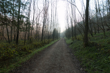 Fototapeta na wymiar sentiero nel parco del Lura - Lomazzo