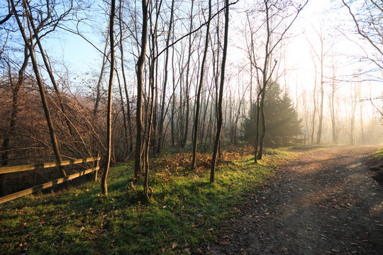parco del Lura - Lomazzo
