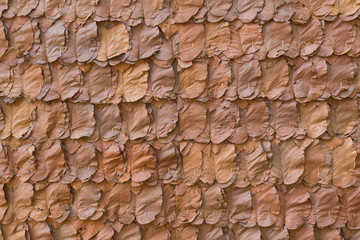 decorative dry leaves on traditional wall