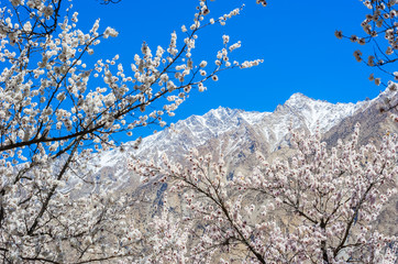 Skardu Valley, Pakistan