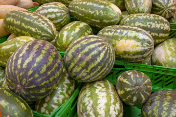 Green striped watermelons in boxes