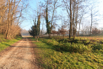 sentiero nel parco del Lura - Lomazzo