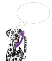 the dog is talking over the old phone