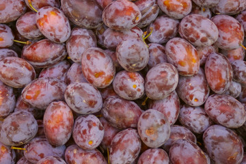 pile of blue plums