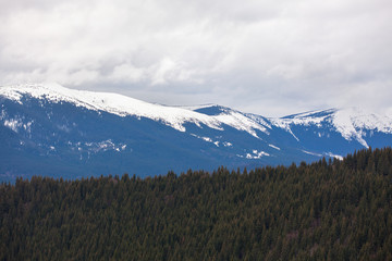 Fototapeta premium snowy mountain tops