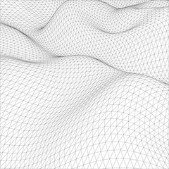 Abstract wire-frame grid. Vector illustration.