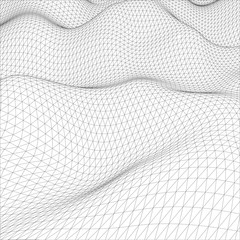 Abstract wire-frame grid. Vector illustration.