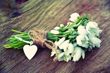 Schneegl&ouml;ckchen mit Herz