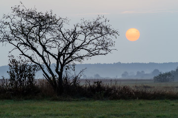 Mglisty poranek © podlaski49