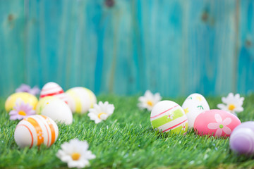Easter Eggs on a green grass