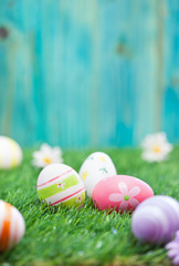 Easter Eggs on a green grass