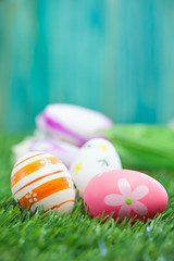 Fototapeta na wymiar Easter Eggs on a green grass