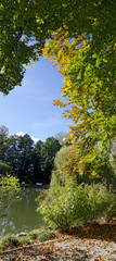 Bäume am Teich im Herbst