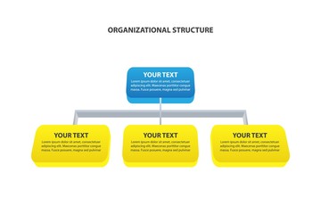 Organizational Structure - corporate hierarchy - Vector infographic template