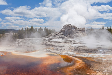 Castle geyser, Upper geyser basin, Yellowstone, Wyoming, United States of America 